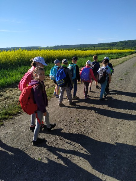 Lesní pedagogika 1. A
