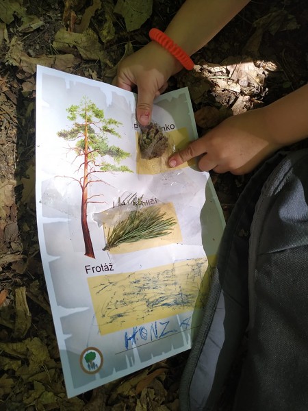 Lesní pedagogika 1. A